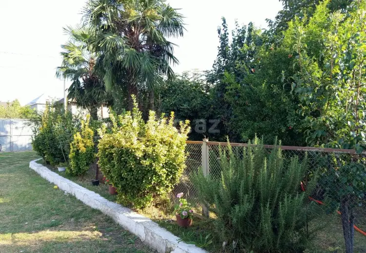3 otaqlı mənzil , Masallı