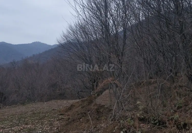 6 sot Torpaq Satılır, Qəbələ