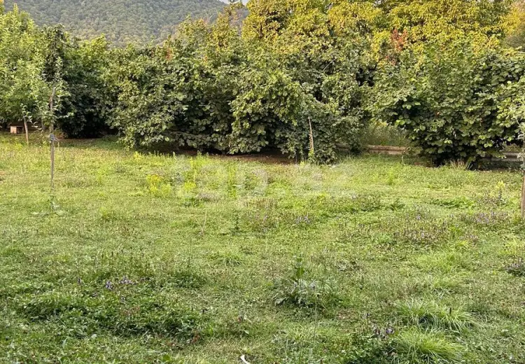 0 m² Obyekt / Ofis , Qəbələ