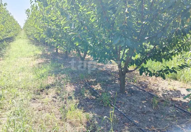 0 m² Obyekt / Ofis , Xaçmaz