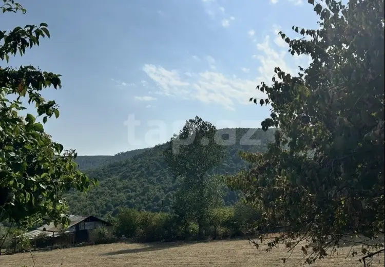 0 m² Obyekt / Ofis , Oğuz