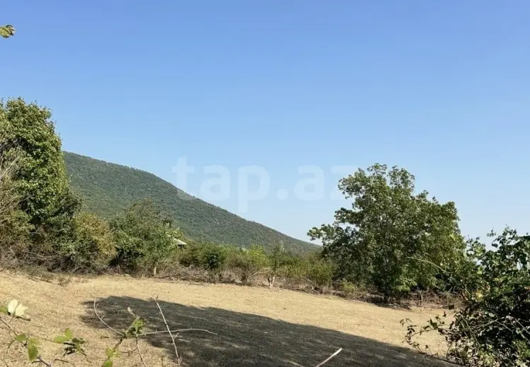 0 m² Obyekt / Ofis , Oğuz