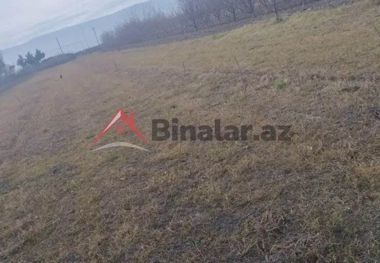45 sot Torpaq Satılır, Quba