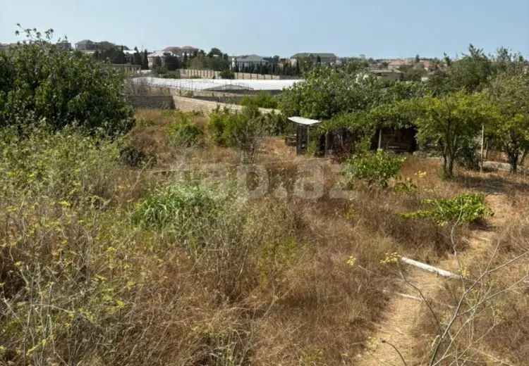 0 m² Obyekt / Ofis , Nardaran qəs., Sabunçu, Bakı
