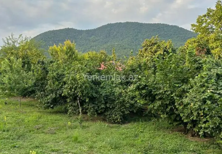 10 sot Torpaq Satılır, Qəbələ