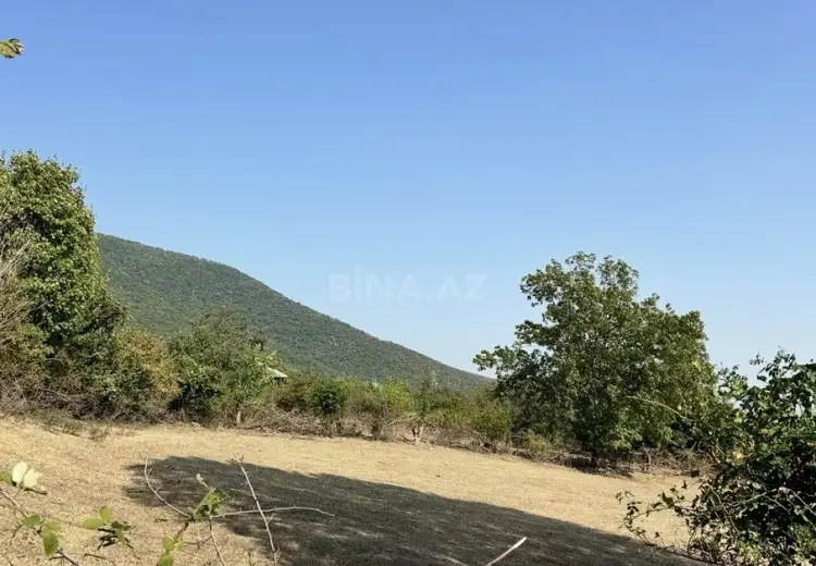 12 sot Torpaq Satılır, Oğuz