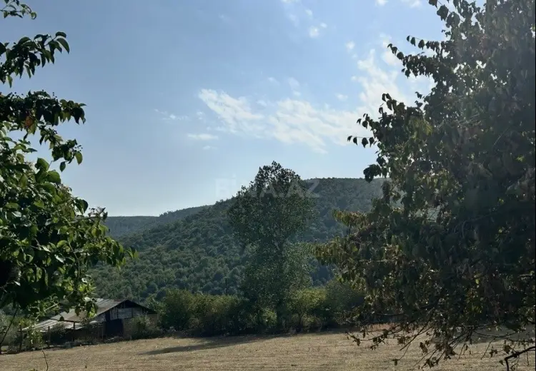 12 sot Torpaq Satılır, Oğuz