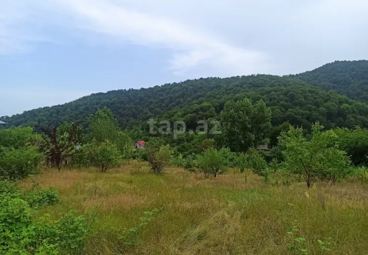 0 m² Obyekt / Ofis , Qəbələ