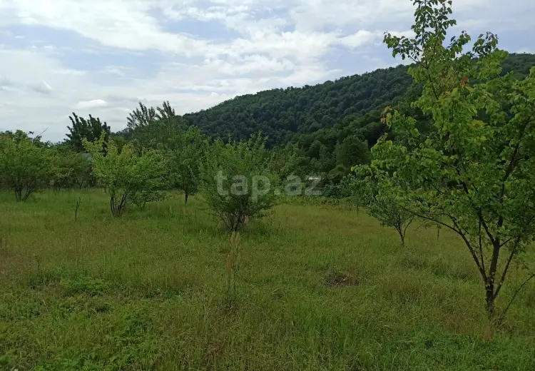 0 m² Obyekt / Ofis , Qəbələ