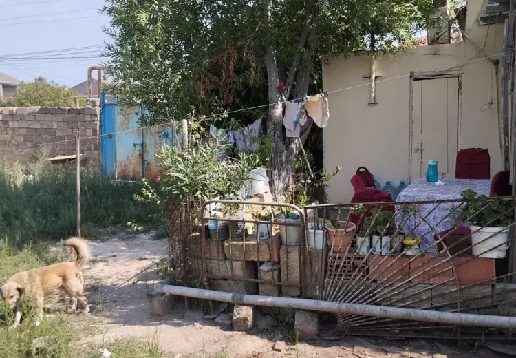 2 otaqlı mənzil Kirayə (aylıq), Biləcəri qəs., Binəqədi, Bakı