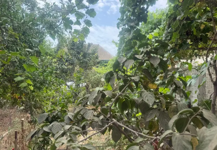 3 otaqlı mənzil Satılır, Hövsan qəs., Suraxanı, Bakı