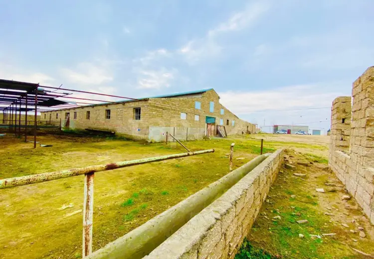 0 m² Obyekt / Ofis , Şüvəlan, Xəzər, Bakı