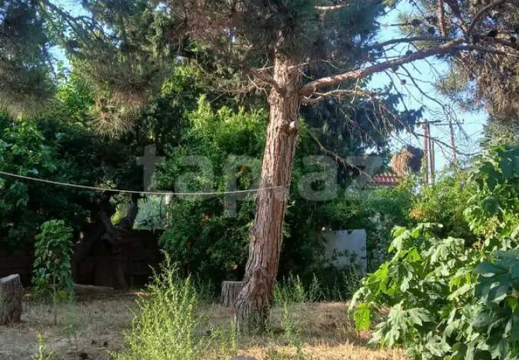 0 m² Obyekt / Ofis , Bakı