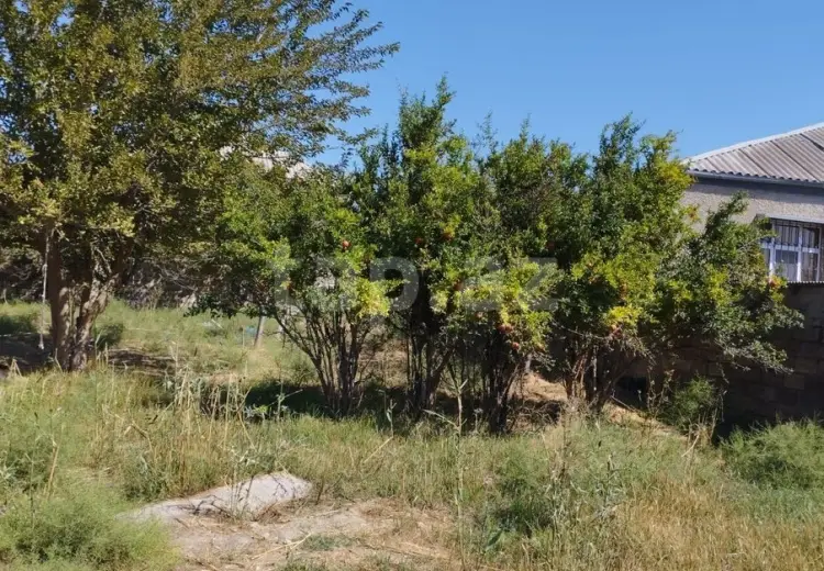 0 m² Obyekt / Ofis , Saray, Abşeron