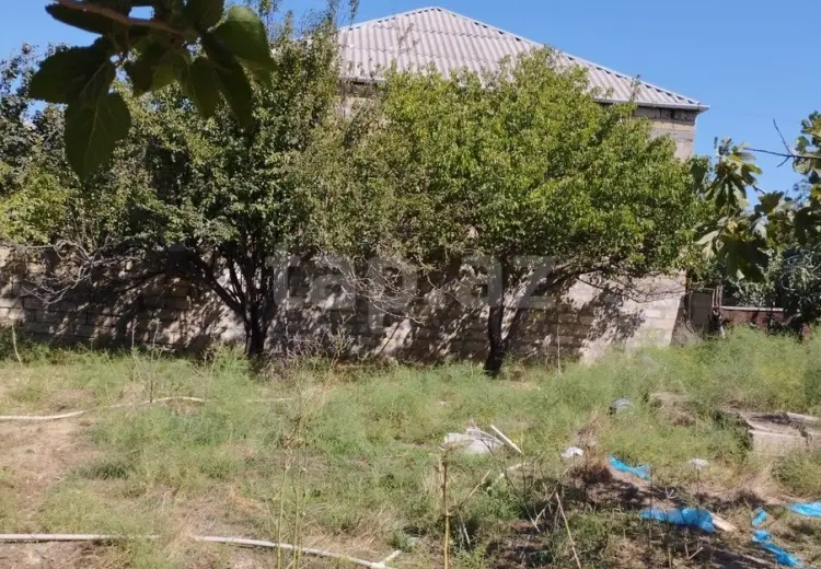 0 m² Obyekt / Ofis , Saray, Abşeron