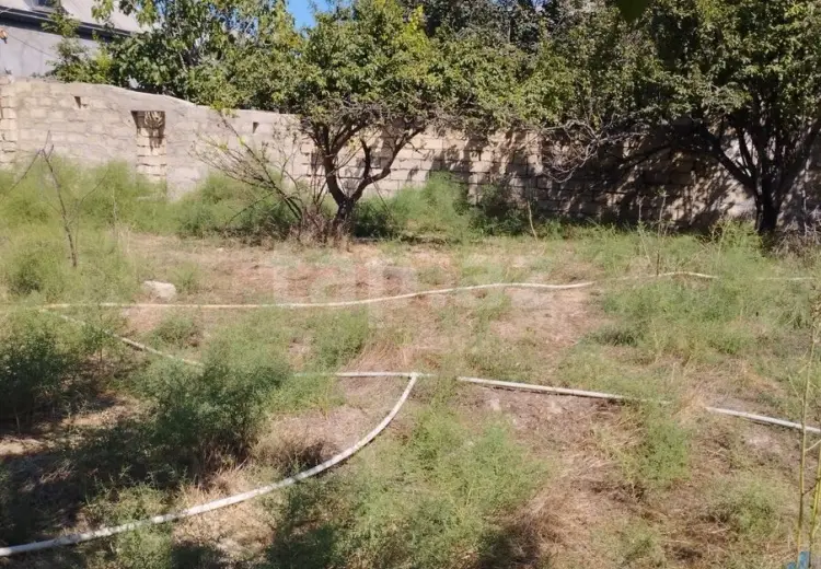 0 m² Obyekt / Ofis , Saray, Abşeron