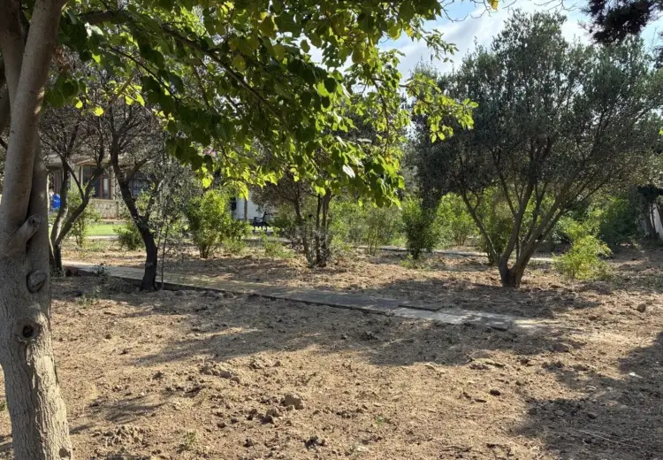 76 sot Torpaq Satılır, Nardaran qəs., Sabunçu, Bakı