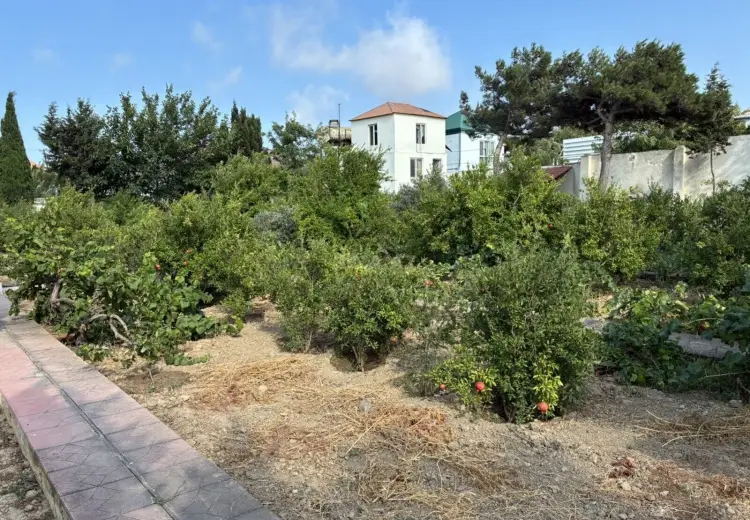 76 sot Torpaq Satılır, Nardaran qəs., Sabunçu, Bakı