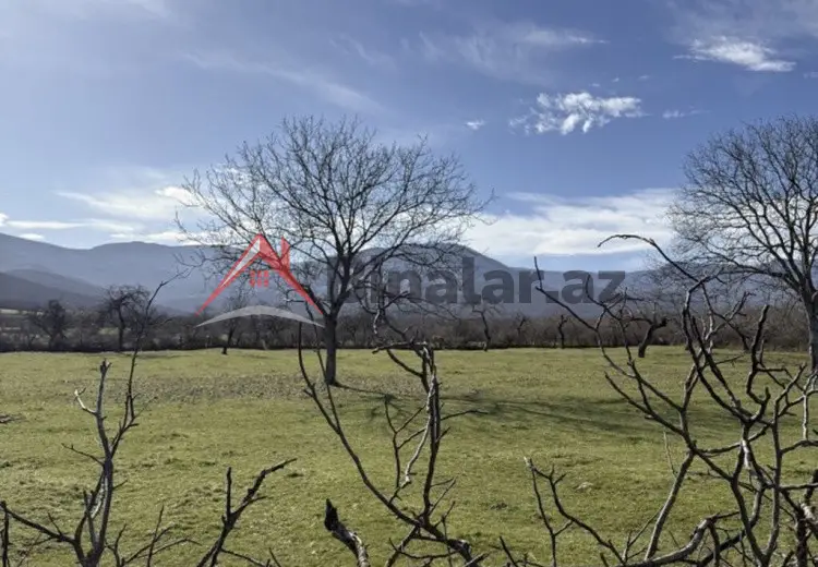 12 sot Torpaq Satılır, Şabran