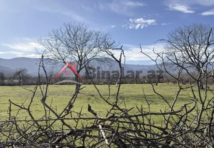 12 sot Torpaq Satılır, Şabran