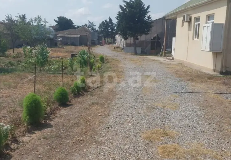 0 m² Obyekt / Ofis , Buzovna, Xəzər, Bakı