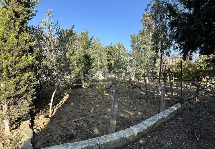 0 m² Obyekt / Ofis , Bakı