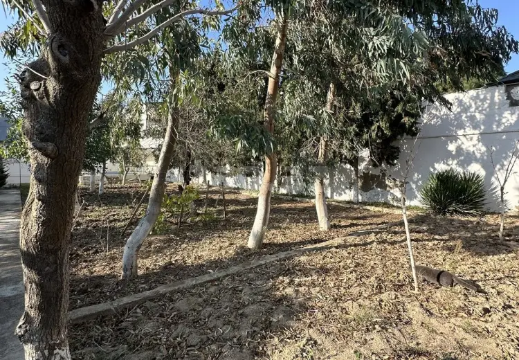 0 m² Obyekt / Ofis , Bakı