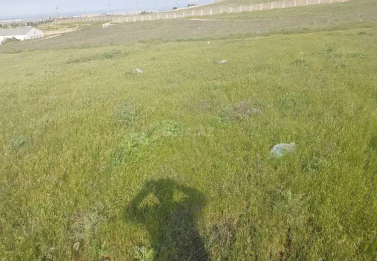 22 sot Torpaq Satılır, Abşeron