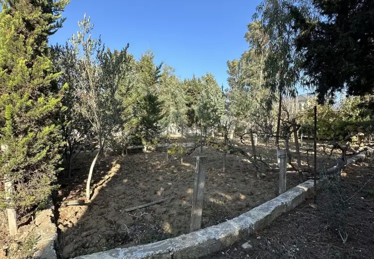 12 sot Torpaq Satılır, Mərdəkan, Xəzər, Bakı