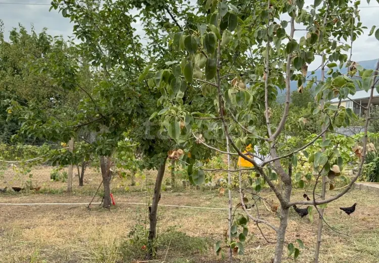 3 otaqlı mənzil , İsmayıllı