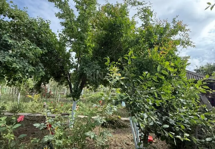 6 otaqlı mənzil Satılır, Mərdəkan, Xəzər, Bakı
