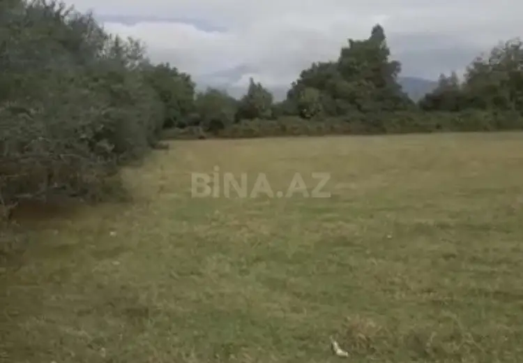 100 sot Torpaq Satılır, Qəbələ