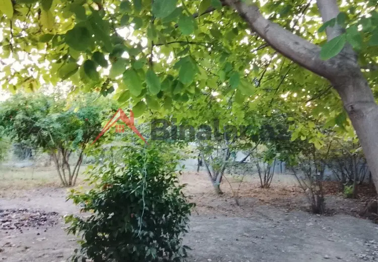 3 otaqlı mənzil Satılır, Şabran