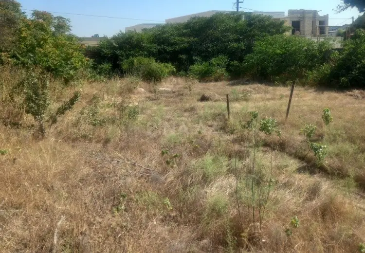 25 sot Torpaq Satılır, Mərdəkan, Xəzər, Bakı
