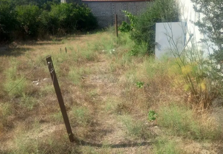 25 sot Torpaq Satılır, Mərdəkan, Xəzər, Bakı