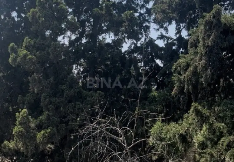 25 sot Torpaq Satılır, Mərdəkan, Xəzər, Bakı