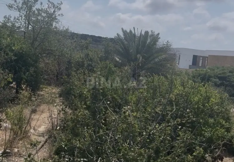 25 sot Torpaq Satılır, Mərdəkan, Xəzər, Bakı