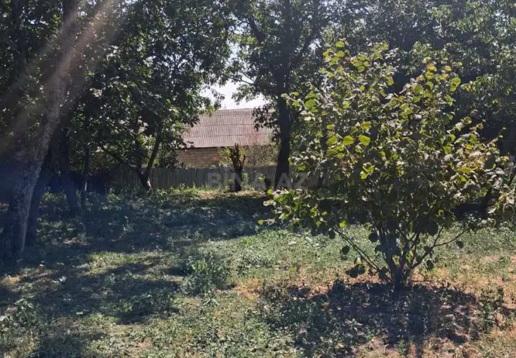 8 sot Torpaq Satılır, İsmayıllı