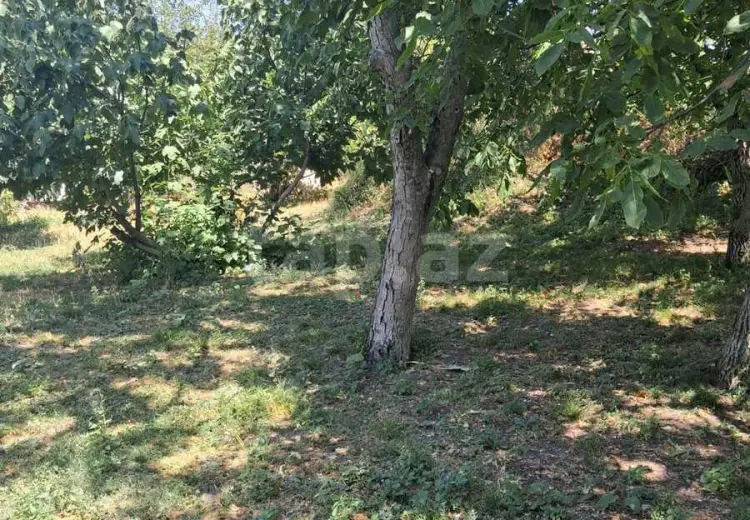 0 m² Obyekt / Ofis , İsmayıllı