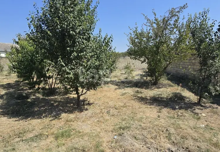 0 m² Obyekt / Ofis , Göyçay