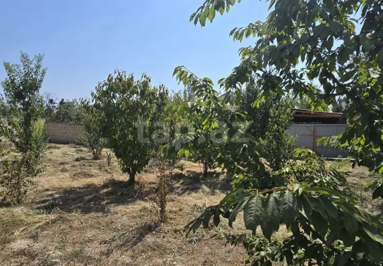 0 m² Obyekt / Ofis , Göyçay