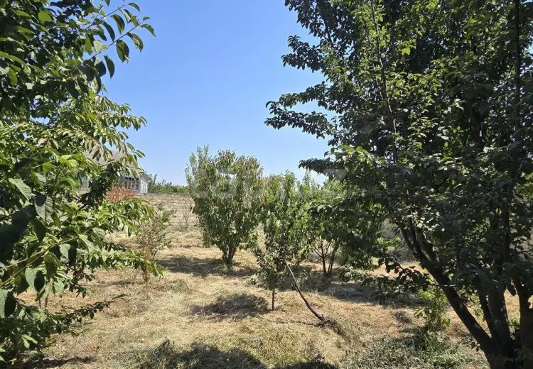 0 m² Obyekt / Ofis , Göyçay