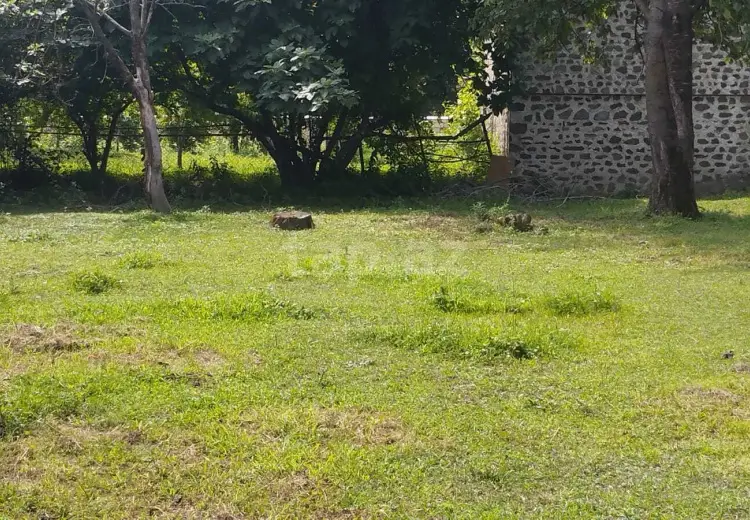 0 m² Obyekt / Ofis , Balakən