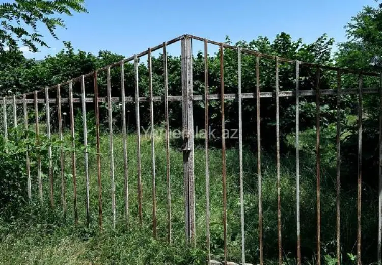 24 sot Torpaq Satılır, Oğuz