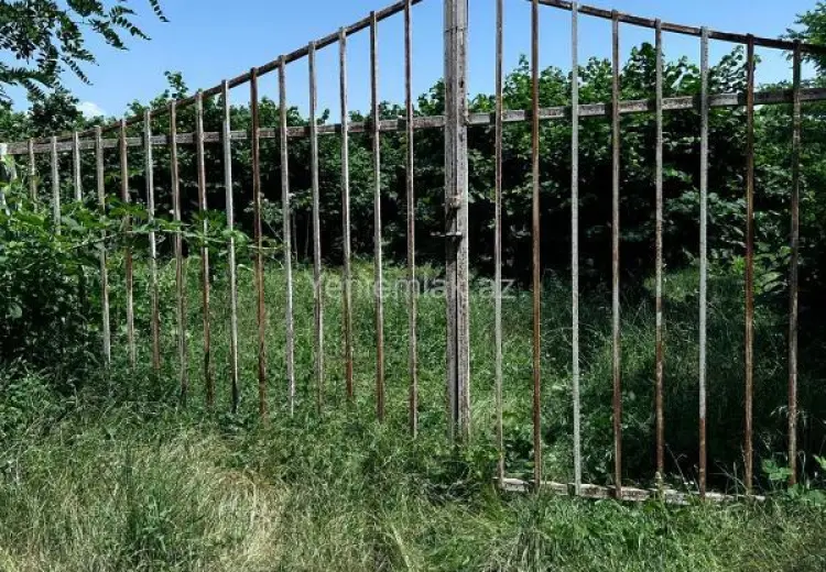 24 sot Torpaq Satılır, Oğuz