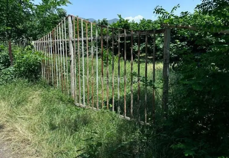 24 sot Torpaq Satılır, Oğuz