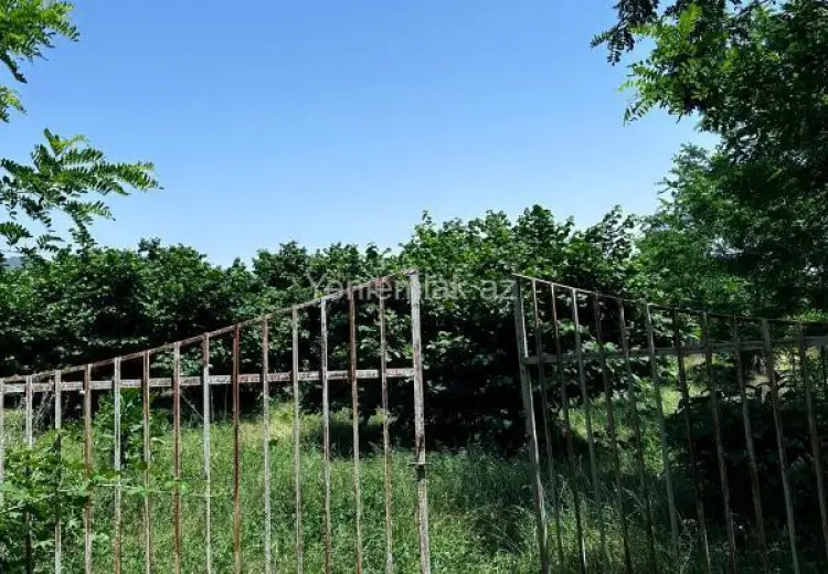 24 sot Torpaq Satılır, Oğuz