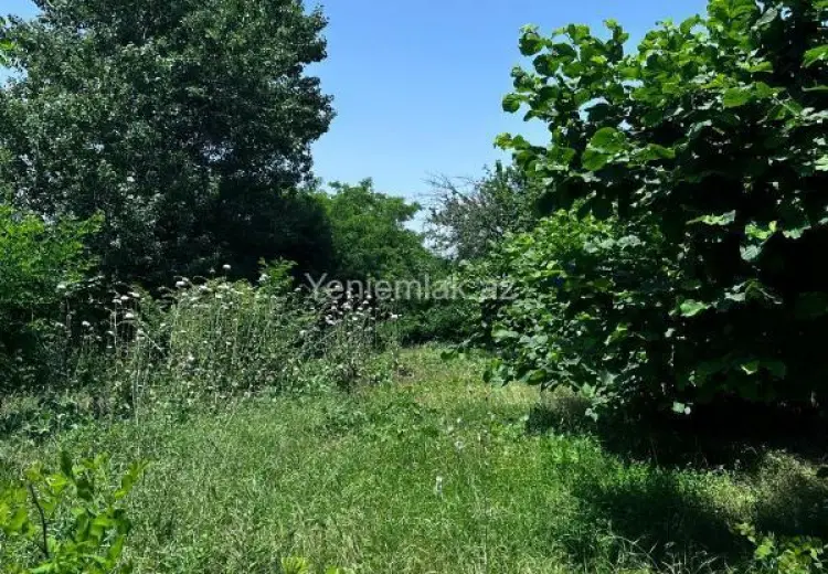 24 sot Torpaq Satılır, Oğuz