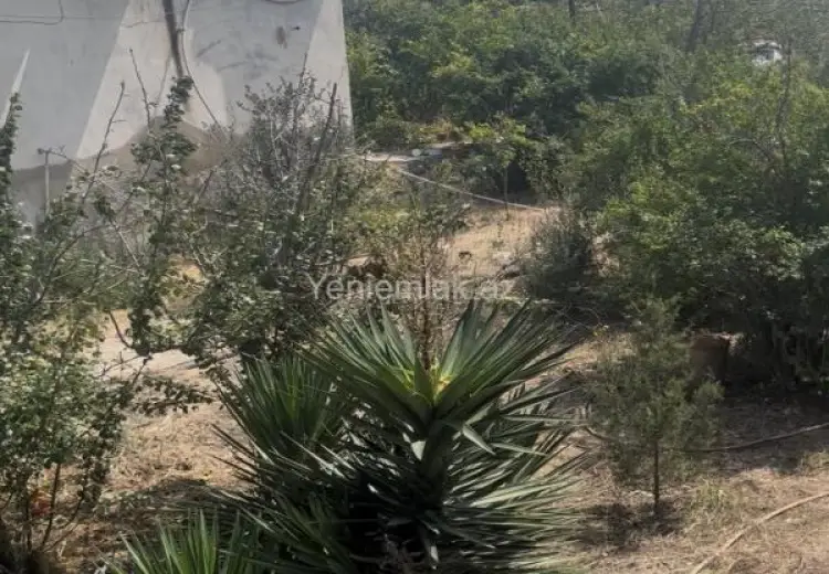 25 sot Torpaq Satılır, Mərdəkan, Xəzər, Bakı