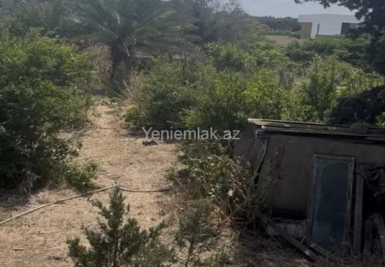 25 sot Torpaq Satılır, Mərdəkan, Xəzər, Bakı